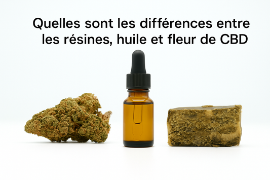Quelles sont les différences entre les résines, huile et fleur de CBD