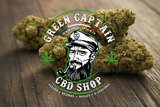 Green Captain CBD et son équipe