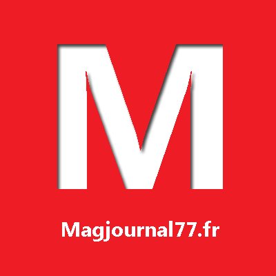 Magjournal77 parle de notre Pet influenceur Racaille Maine coon et du CBD pour animaux