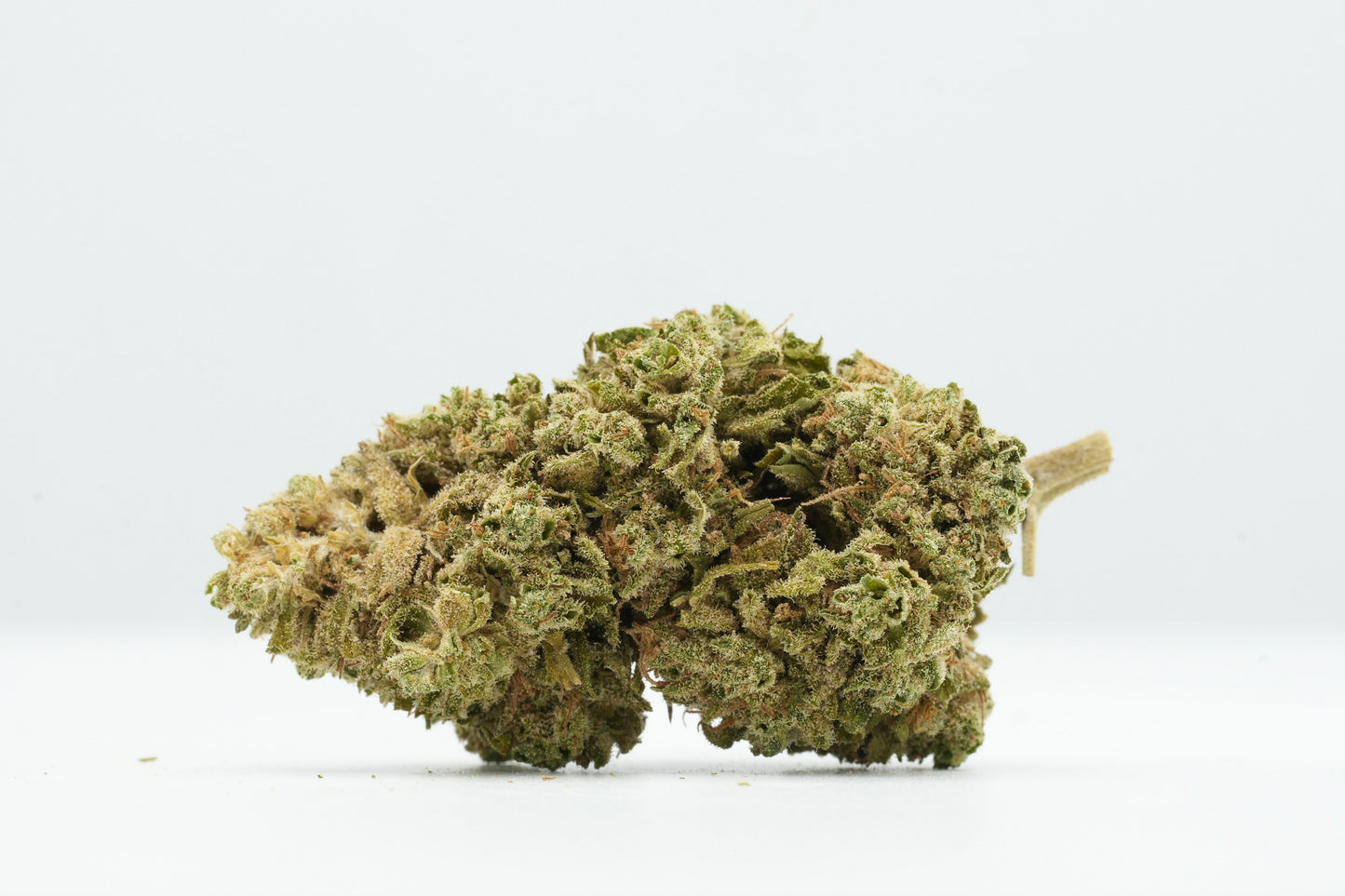 FLEUR "COOKIE" - 0,20% THC / 3,99% CBD