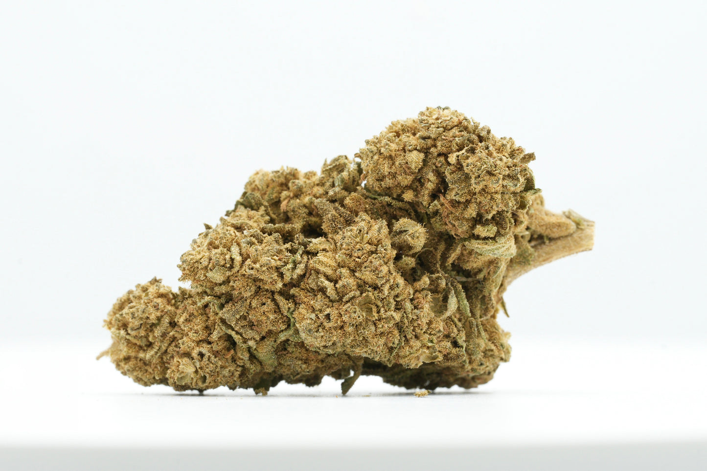 FLEUR "GORILLA GLUE" - 0,20% THC / 7% CBD