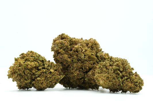 FLEUR "MANGO HAZE" - 0,30% THC / 9% CBD